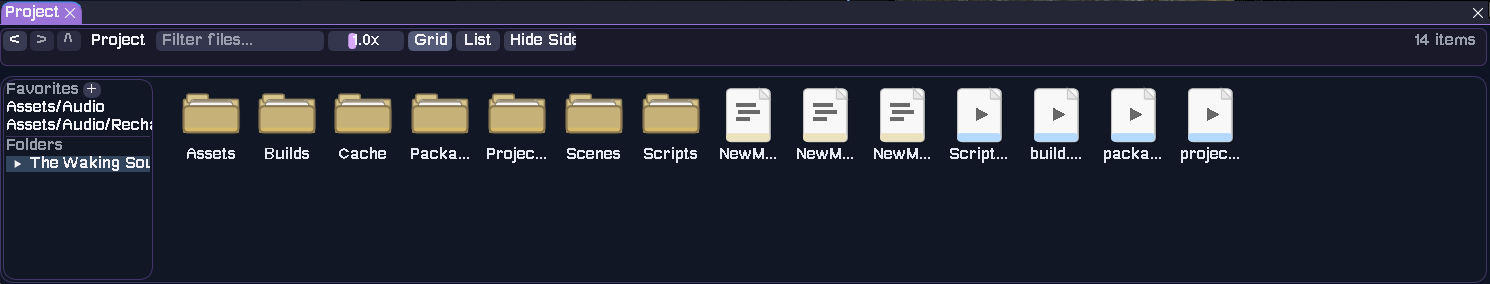 Project Asset Browser